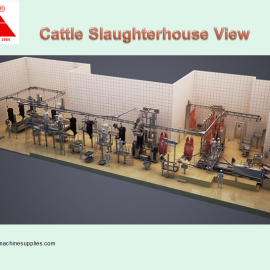 Cattle Slaughter Line