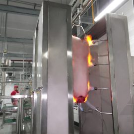 Automatic singeing machine furnaces pig hog swine abattoir equipment slaughtering machine slaughter line slaughterhouse tool meat processing