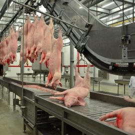 Gambrelling table, pipe rail hoisting & bi-rail hoisting machine pig hog swine abattoir equipment slaughtering machine slaughter line slaughterhouse tool meat processing