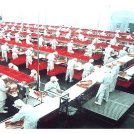 Meat cutting conveyor half carcass cutting basket box pig hog swine abattoir equipment slaughtering machine slaughter line slaughterhouse tool meat processing