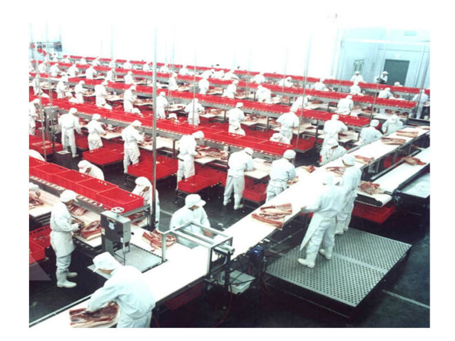 Meat cutting conveyor half carcass cutting basket box pig hog swine abattoir equipment slaughtering machine