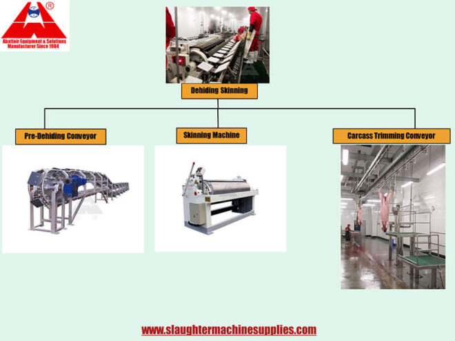 Dehiding Skinning Pre-dehiding pre-skinning conveyor pig hog swine abattoir equipment