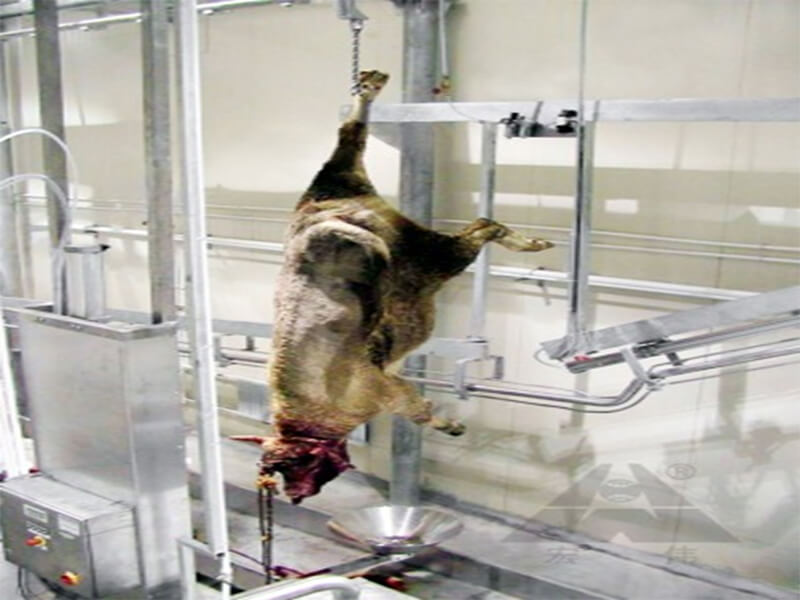 Bleeding electric stimulation device cattle cow abattoir equipment