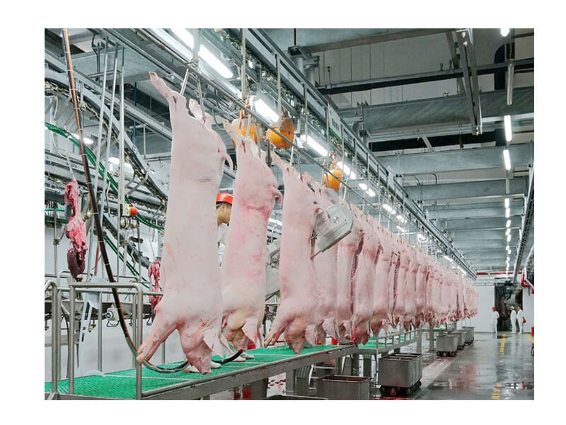 Splitting band saw reciprocating splitting saw automatic splitting machine pig hog swine abattoir equipment slaughtering machine