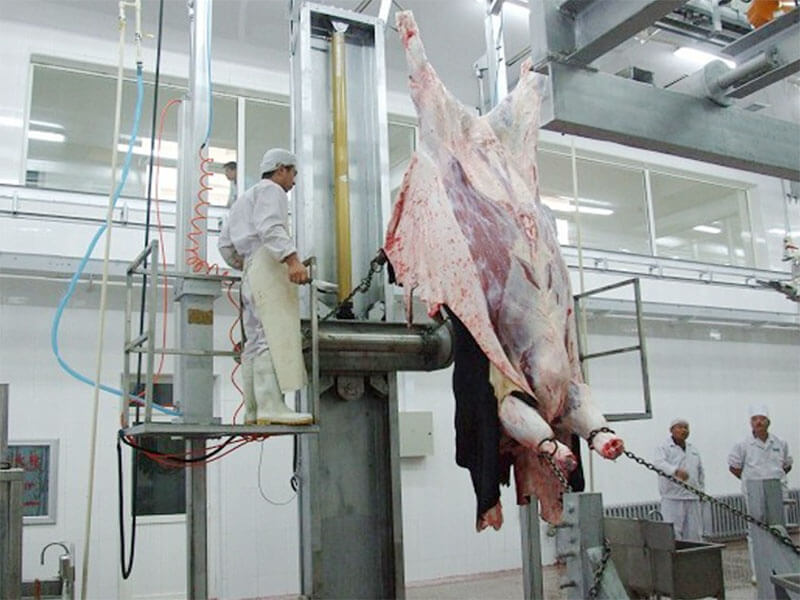 Hydraulic dehider skinning hide puller cattle cow abattoir equipment