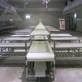 Belt type meat cutting conveyor cattle cow abattoir equipment slaughtering machine halal slaughter line slaughterhouse tool