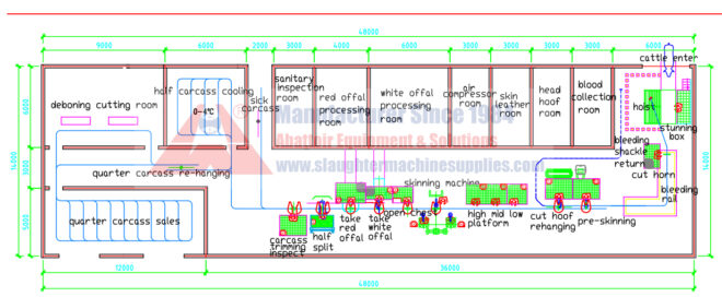 How to build 50-100 cattle abattoir halal slaughter line? - Cattle ...