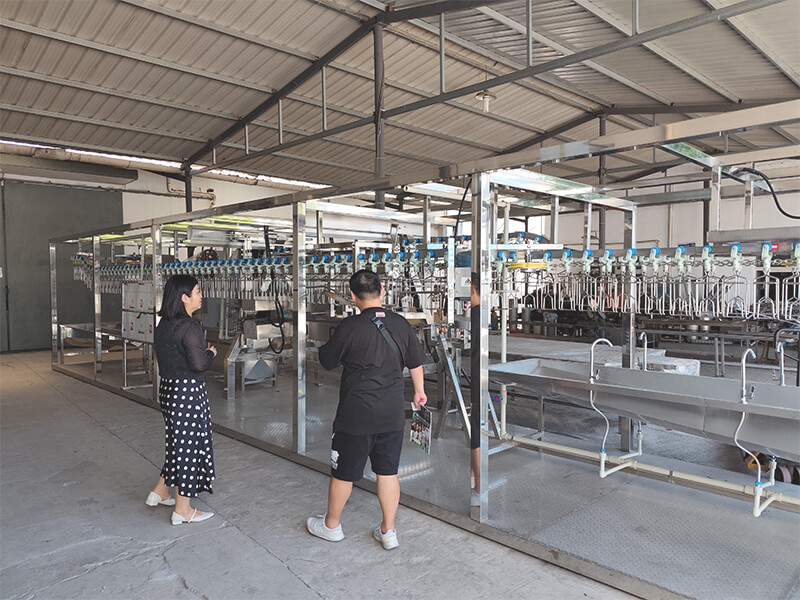 HW Machinery 500bph compact chicken slaughter line equipment 1