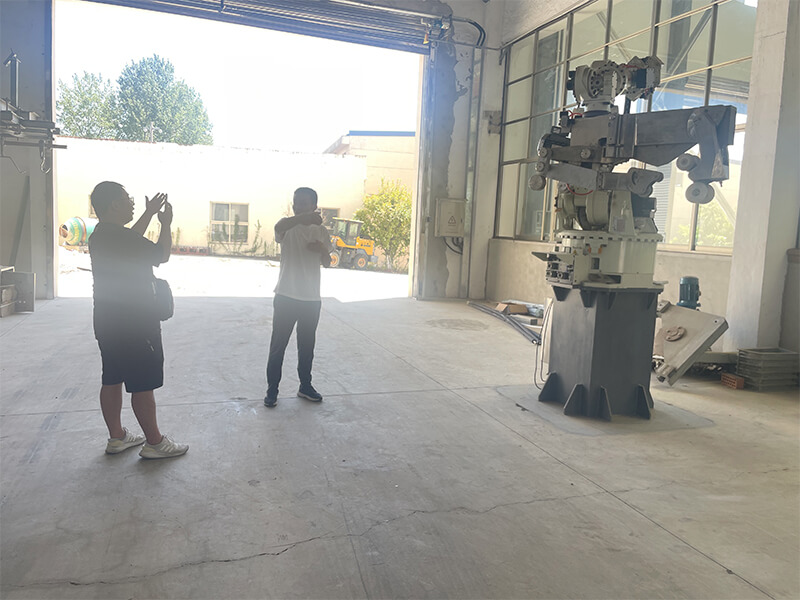 HW Machinery Automatic Pig Pork Carcass Half Splitting Robotic Arm Machine