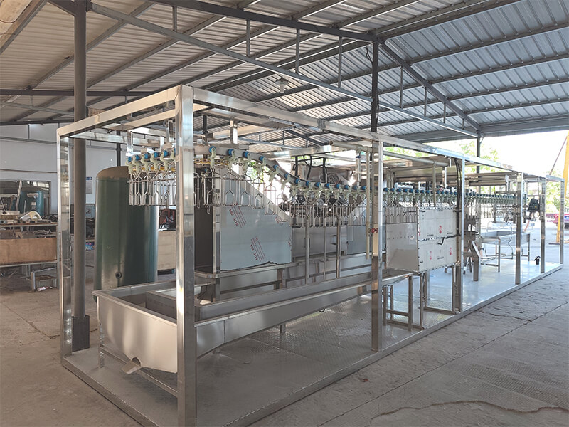 Poultry Processing Equipment and Chicken Slaughter Machines in HW Machinery Factory Compact Slaughter Line