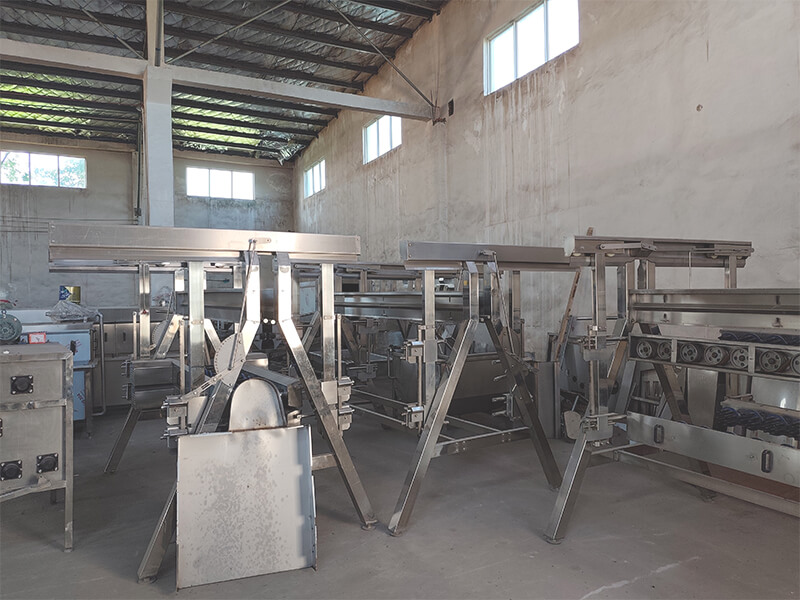 Poultry Processing Equipment and Chicken Slaughter Machines in HW Machinery Factory Plucking Machine