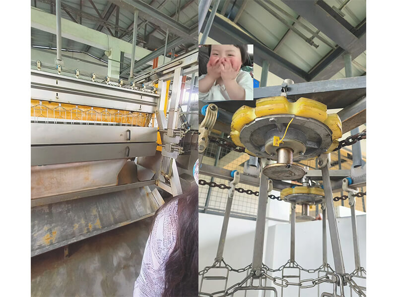 Philippines poultry processing line chicken slaughter equipment visit hw machinery 3