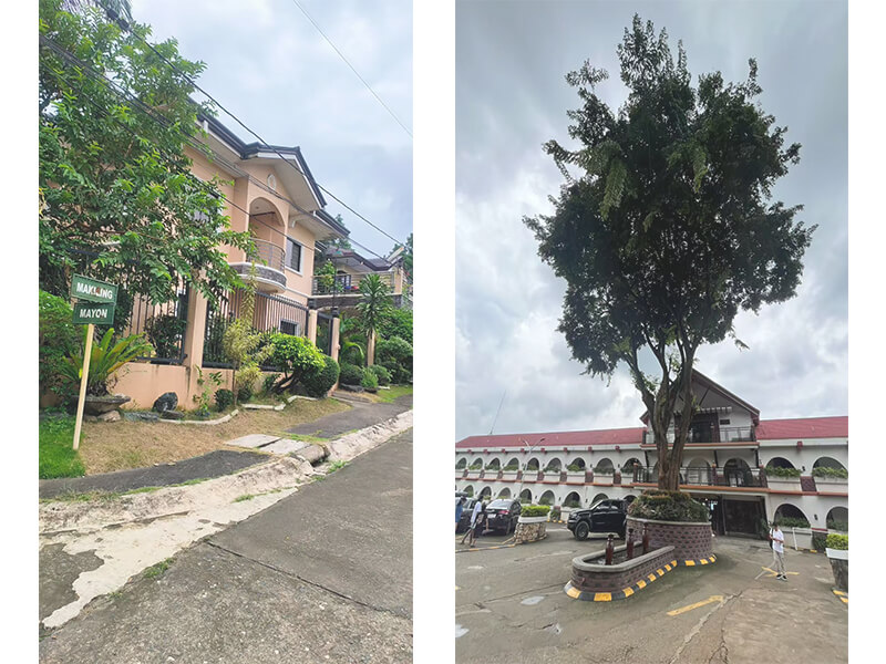 Philippines poultry processing line chicken slaughter equipment visit hw machinery 5