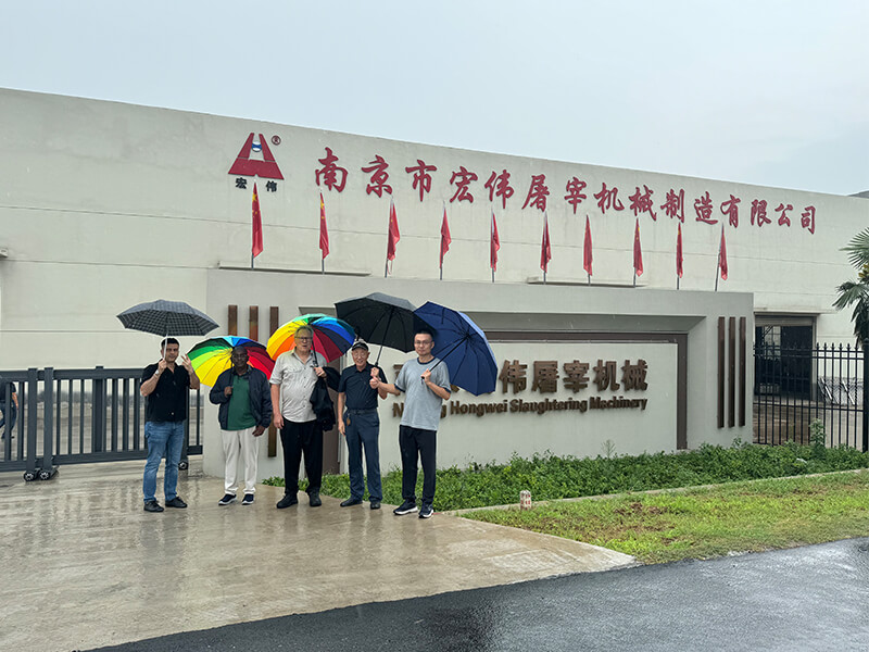 cattle pig sheep slaughter line hw machinery abattoir equipment production base