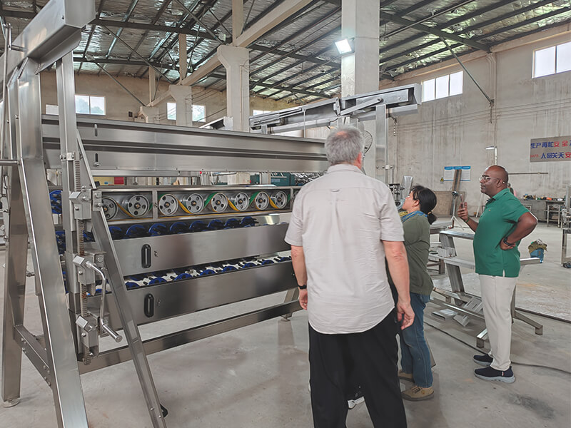 chicken plucker machine poultry slaughter machine quality check africa client