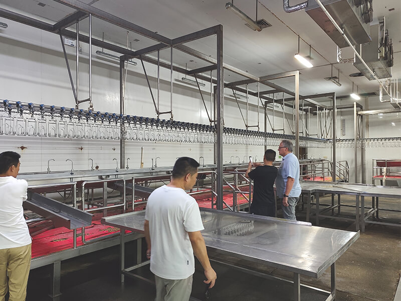 poultry processing equipment chicken slaughter line machinery visit 2