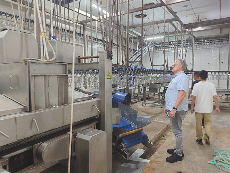 poultry processing equipment chicken slaughter line machinery visit