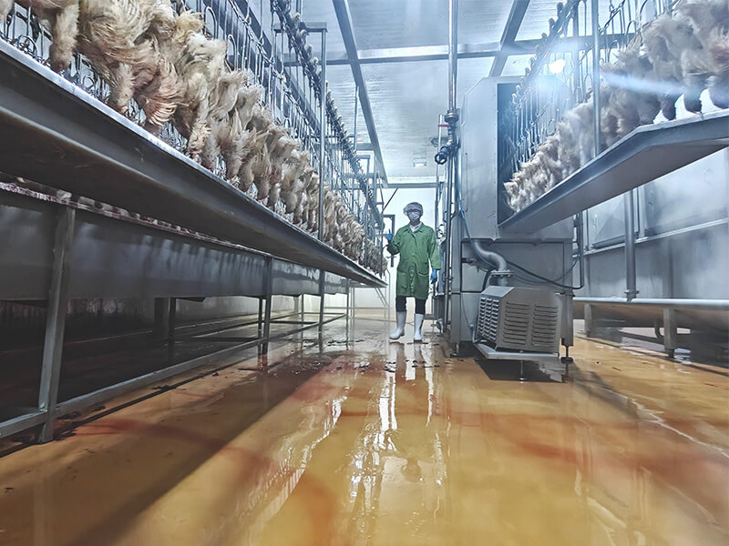 philippines broiler processing plant factory visit