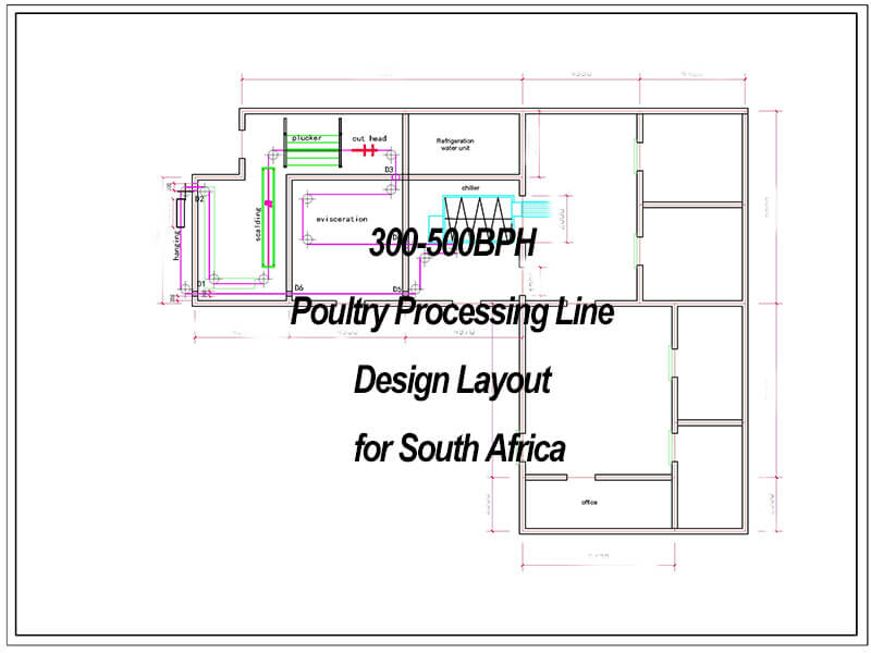 300-500bph halal poultry processing line layout chicken slaughter line design